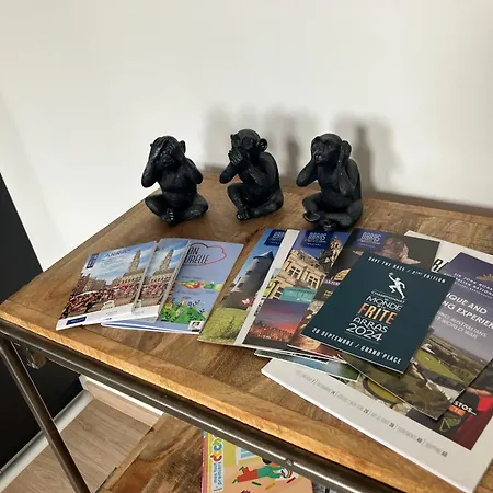 De Charme + Parking Centre-ville * Arras